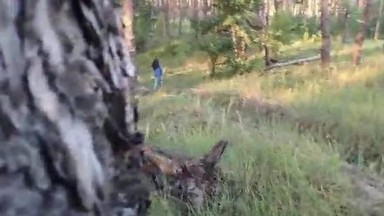 mereka sedang bermesraan di hutan